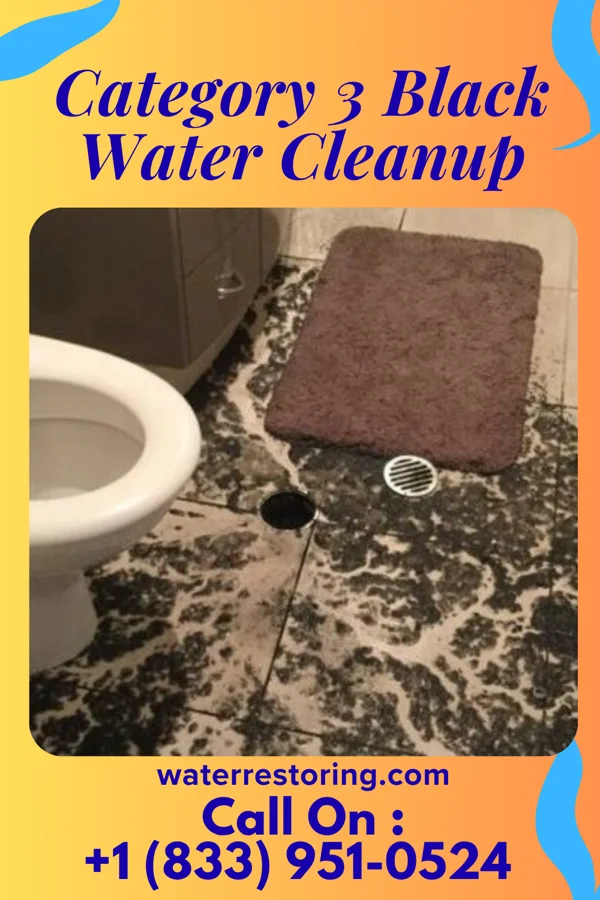 Category 3 Black Water Cleanup in Goree, TX
